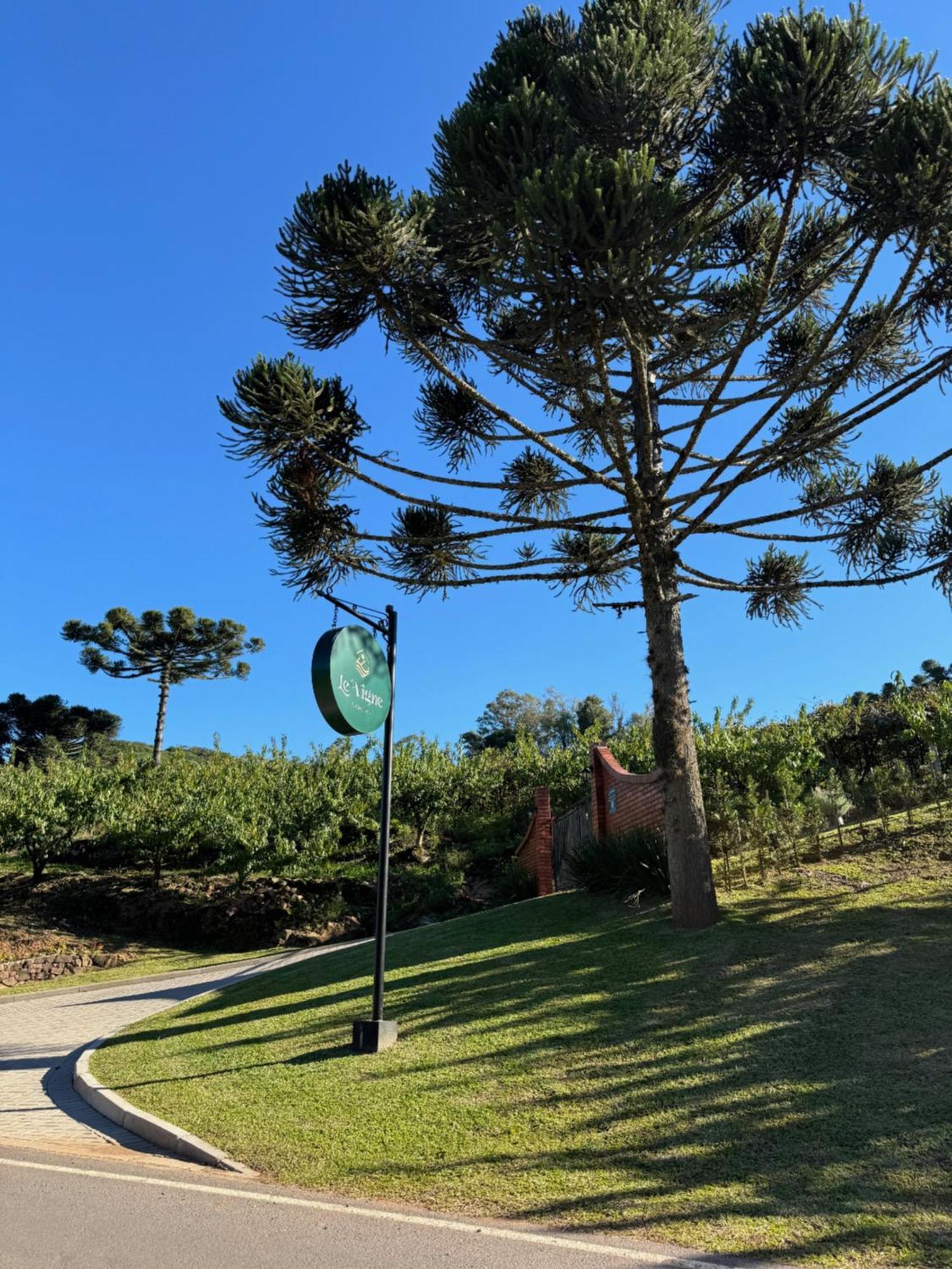Cabanas Le Vigne Pinto Bandeira Экстерьер фото