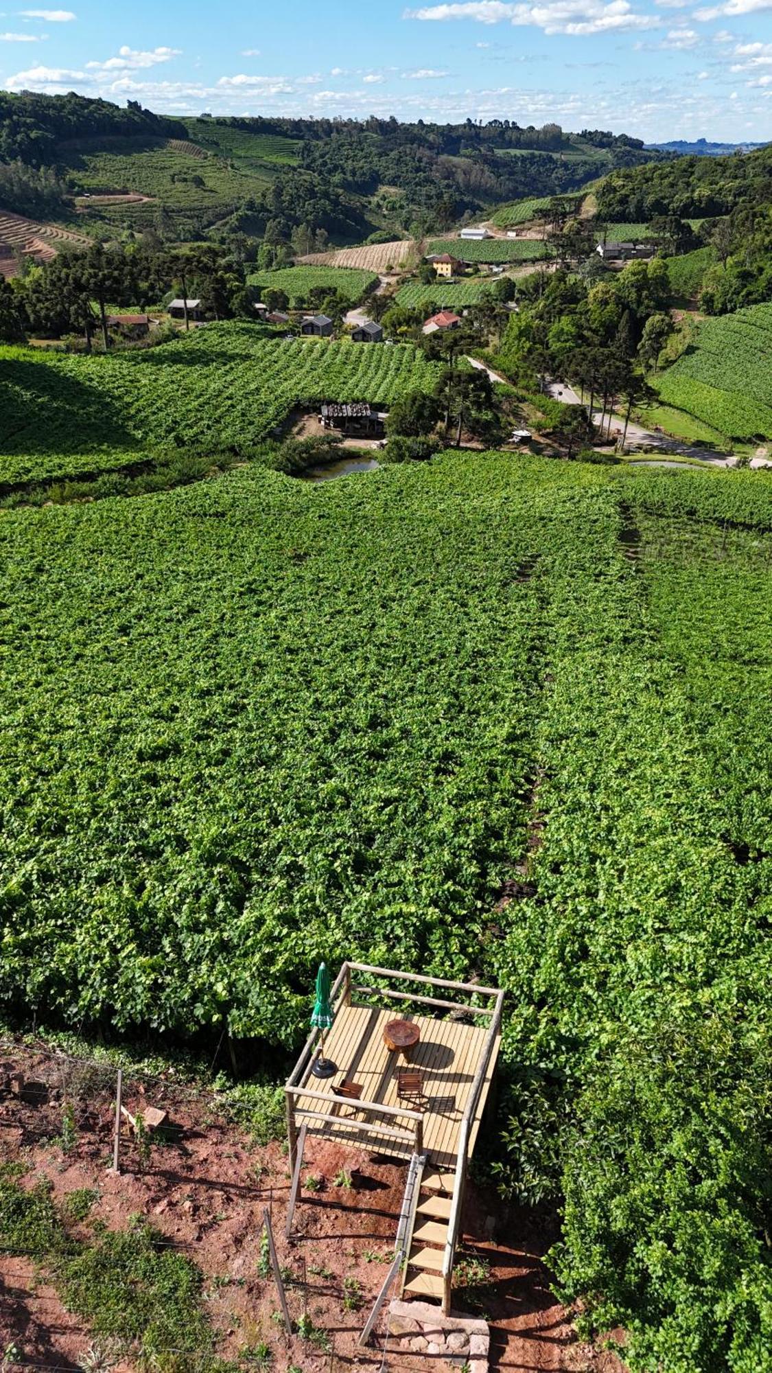 Cabanas Le Vigne Pinto Bandeira Экстерьер фото