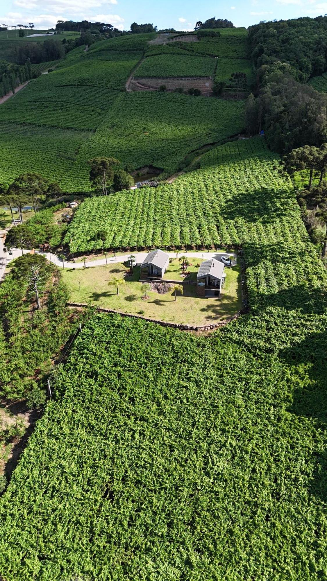 Cabanas Le Vigne Pinto Bandeira Экстерьер фото