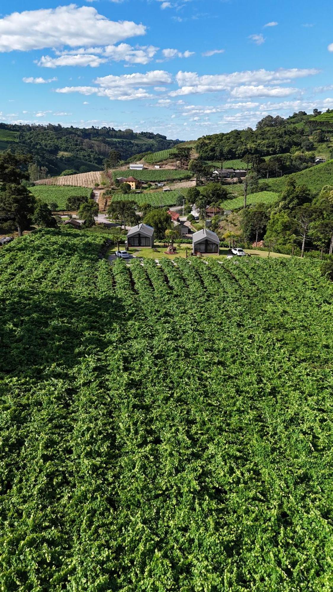 Cabanas Le Vigne Pinto Bandeira Экстерьер фото